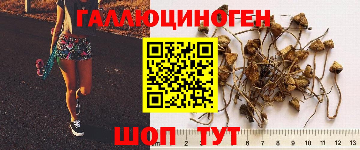 Псилоцибиновые грибы мухоморы Волжский